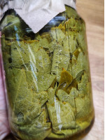 Виноградные листья в рассоле 