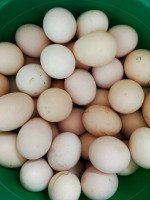 Домашние яйца 10шт с.Новолак