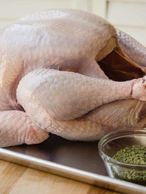 Домашняя индейка