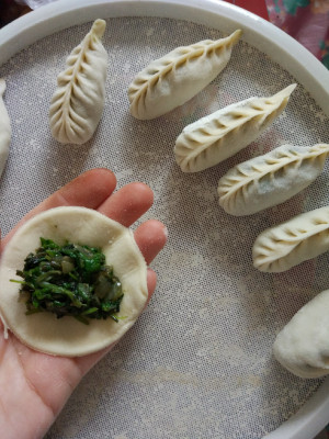 Халта / Мокрица