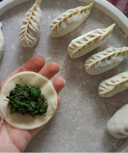 Халта / Мокрица
