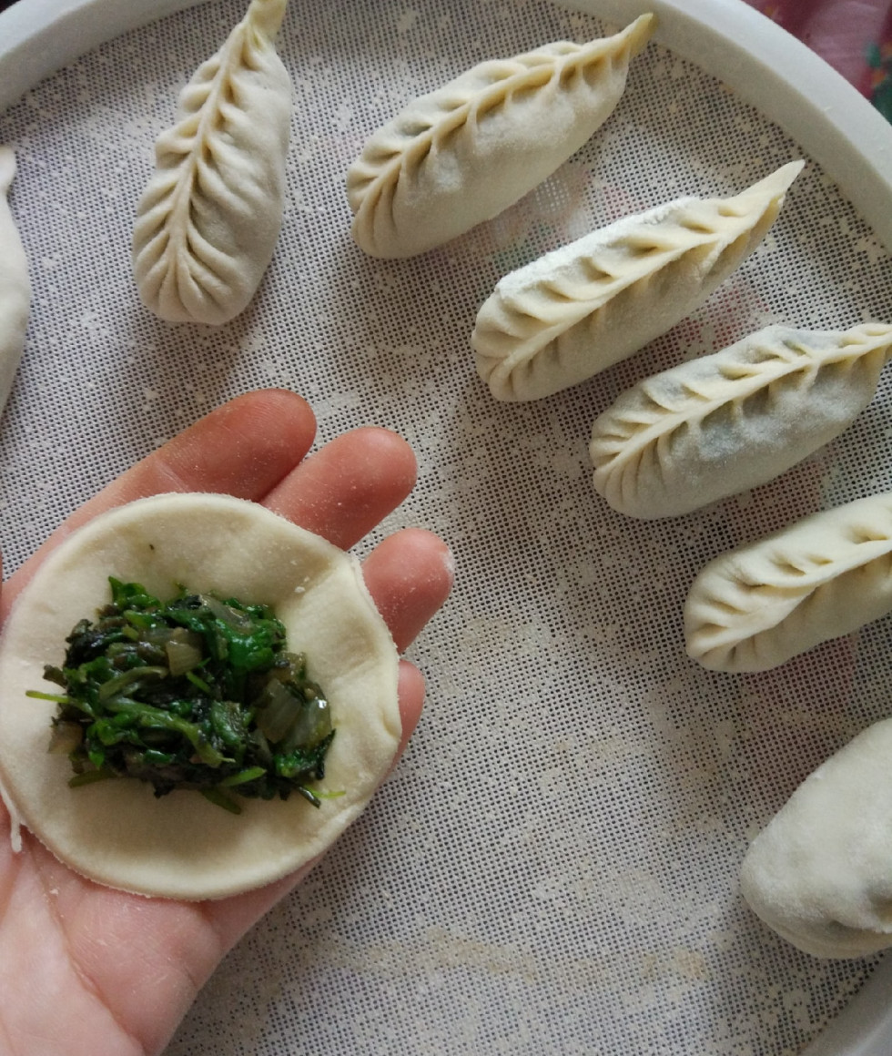 Халта / Мокрица