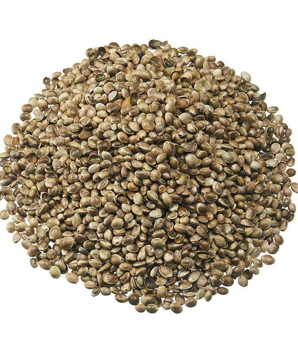 Семена конопли